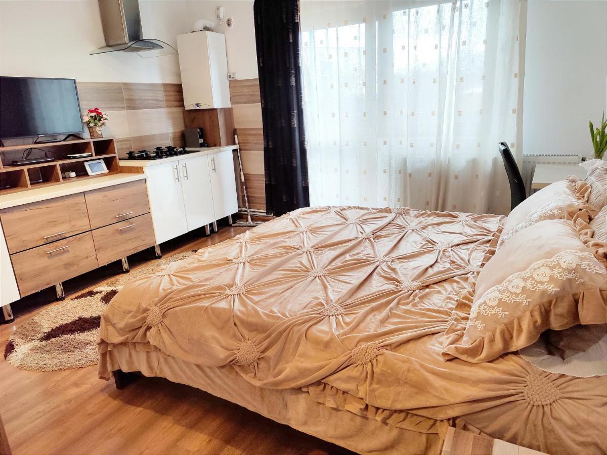 Casa De Vis Apartment บราชอฟ ภายนอก รูปภาพ